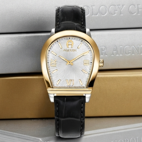 AIGNER MOLISE II AGW.278003.C Black Gold Leather Strap Swiss Made