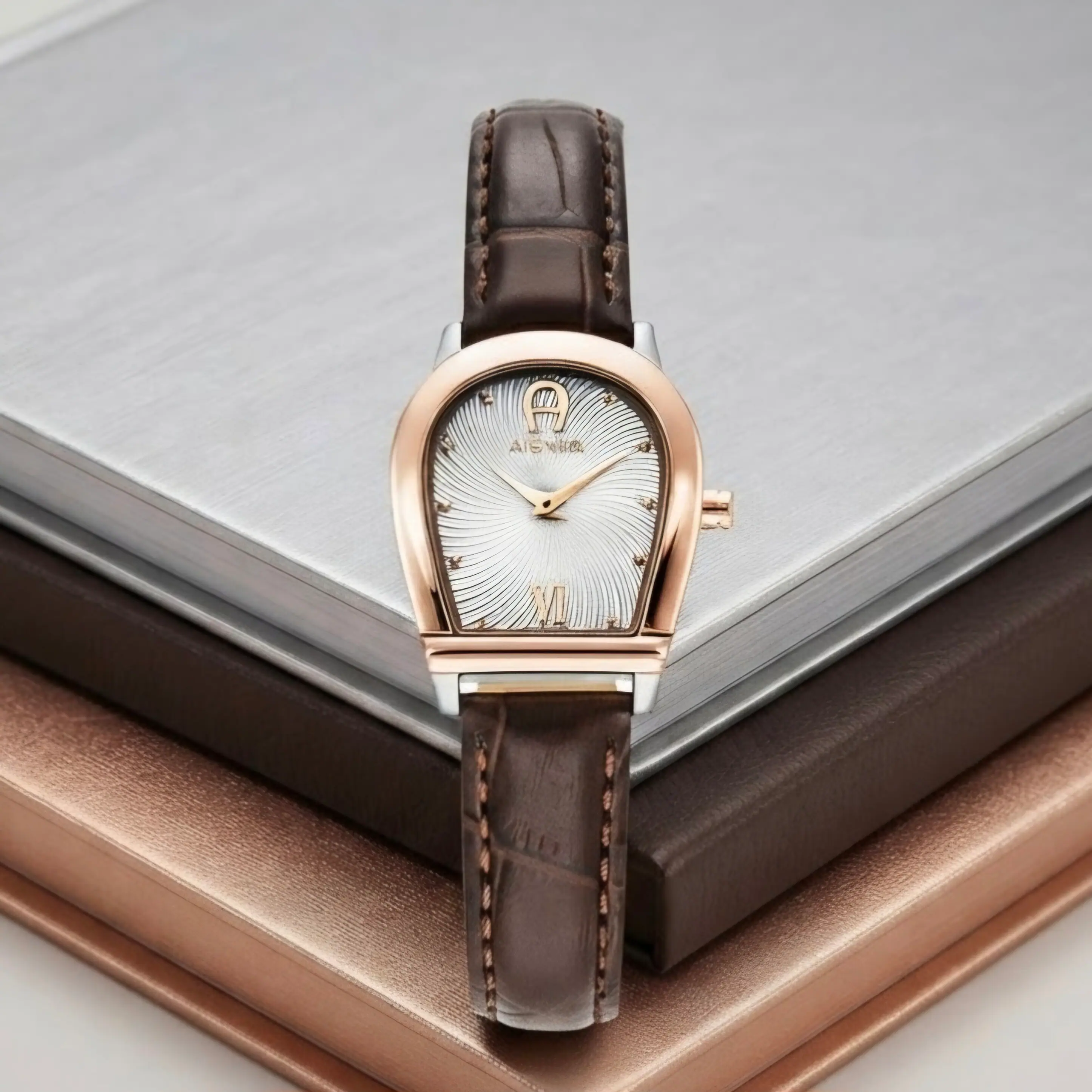 AIGNER MOLISE II AGW.282003.C Brown Rosegold Leather Strap Swiss Made